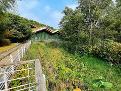 -西湖风景区-江洋畈生态公园