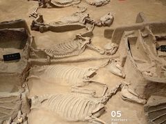 -洛阳周王城天子驾六博物馆