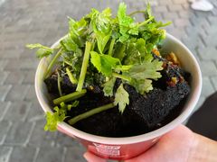 -黑色经典臭豆腐·湖南特产(步行街店)