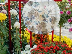 -上海共青森林公园