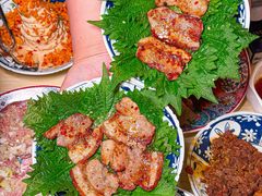 -大阪烧肉BAKA一代(十亩地店)