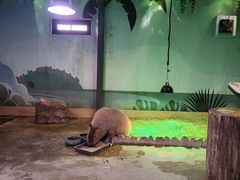 -太阳岛度假酒店