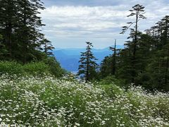 -瓦屋山景区