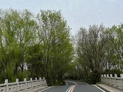-同里国家湿地公园