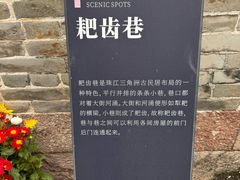 -碧江金楼
