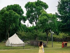 -上海长兴岛郊野公园