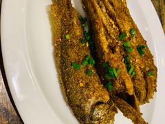 -范二妹独特烧烤夜宵城(宜宾总店)