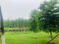 -滨湖塘西河公园