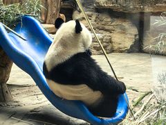 -石家庄市动物园