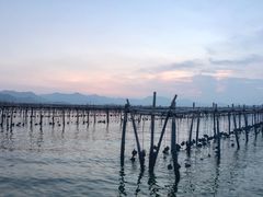 -盐洲岛