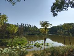 -东郊湿地公园