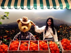 -济州岛泰迪熊博物馆