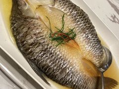 -浦江二号·独栋江景餐厅(滨江大道店)