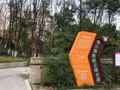 -重庆彩云湖湿地公园