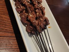 生烤羊肉串-沙力海(北大街店)