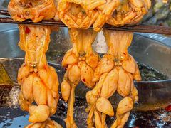 -青山青豆花·笑禅豆腐鱼(黄泥塝店)