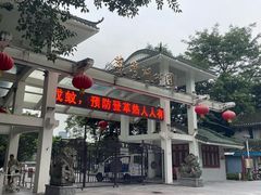 -荔湾湖公园