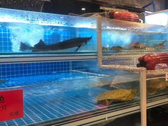 蒜蓉龙虾-袁老大龙虾(石鼓路总店)