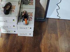 -C·BANNER千百度(奥特莱斯工厂店)