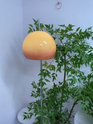 -变美丽半永久定妆连锁·纹眉·机器野生眉