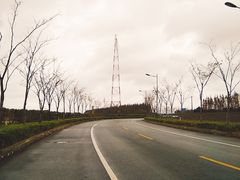 -上海长兴岛郊野公园