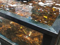 -盒马鲜生(皇庭广场店)