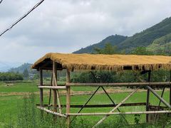 -东天目山风景区