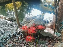 -绮园景区
