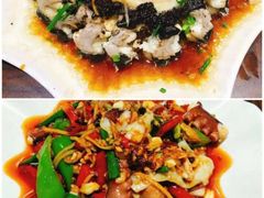 -亚龙湾海底世界