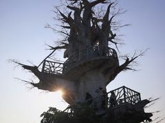 -芒洲湿地公园