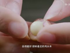 -随柳居·苏式小吃(建新巷店)