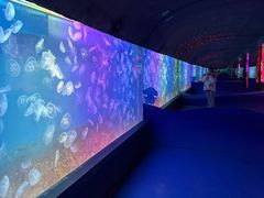 -左海海底世界