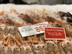 -悉尼鱼市场