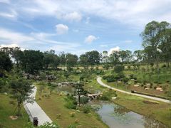 -东莞植物园
