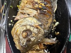 -老黑板筋(顺义总店)