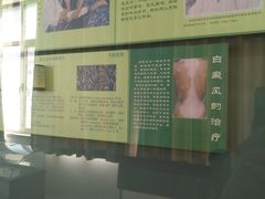 -北京中医药大学-中医药博物馆