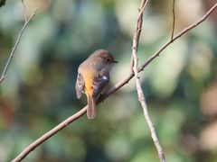 -西湖风景区-江洋畈生态公园