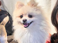 -萌喵咖啡屋(人民东路4号口M16商铺店)