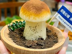 -大理董·董家小厨野生菌火锅(古城旗舰店)