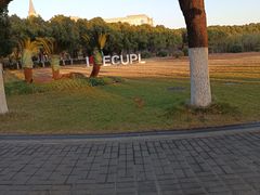 -华东政法大学(松江校区)