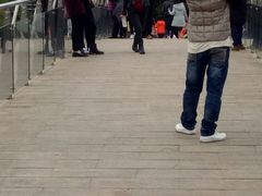 -金鸡山公园