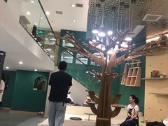 -飞行喵MR PILOT|猫舍·猫咖(静安大融城店)