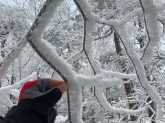-溪口商量岗景区