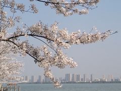 -无锡蠡湖国家湿地公园-蠡园
