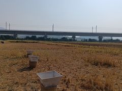 -光明小镇欢乐田园