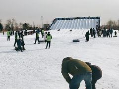 -绿野森林乐园冰雪季