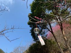 -楠溪江石桅岩