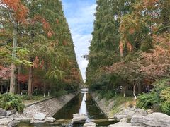 -东平国家森林公园