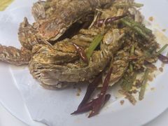 -小海丁