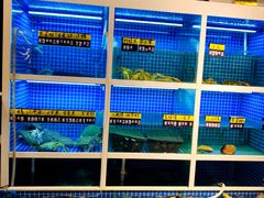 水产区-金龙·打边炉(南京西路店)